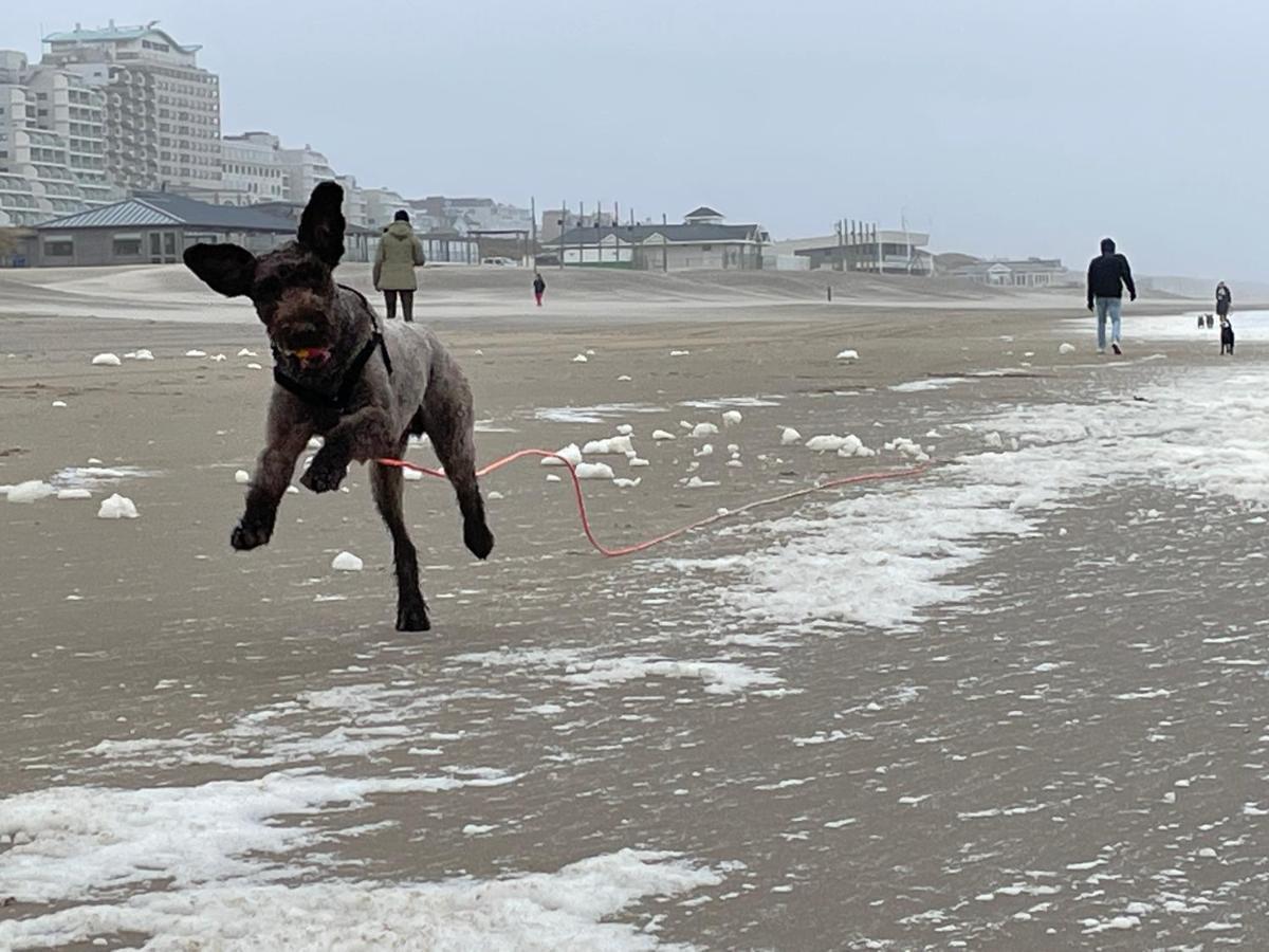 Zeebedstay Noordwijk Exterior foto